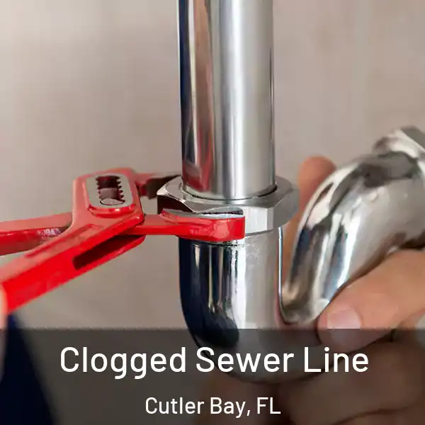  Clogged Sewer Line Cutler Bay, FL